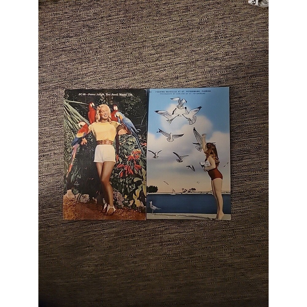 2 Vtg Florida Linen Postcard Miami Parrot Jungle Seagull St. Petersburg Poses